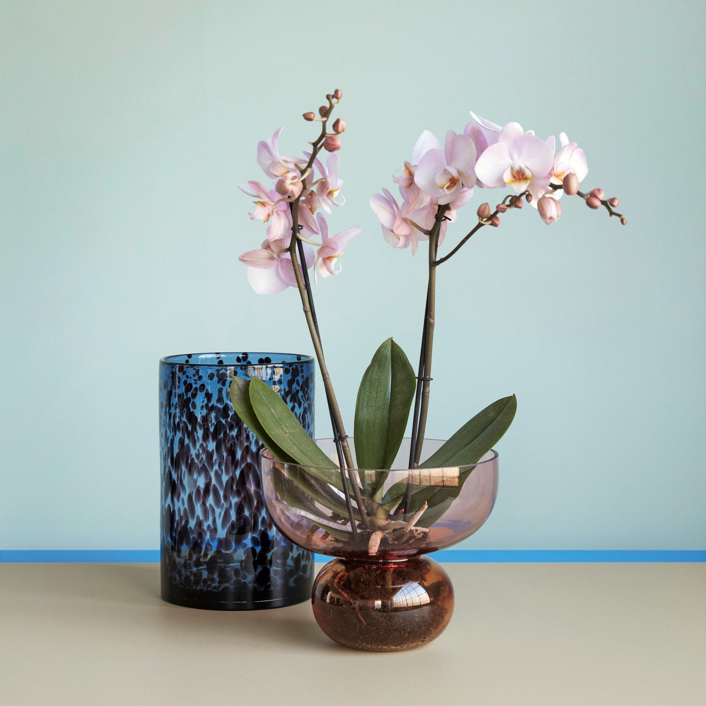 Hubsch Interior Nordic designer round bowl vase in pink and orange amber glass with orchid plant inside on a wooden table