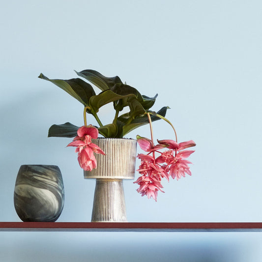 Hubsch Interior Scandi style marbled vases in white and dark green glass on bookshelf with potted plant